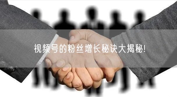 视频号的粉丝增长秘诀大揭秘!